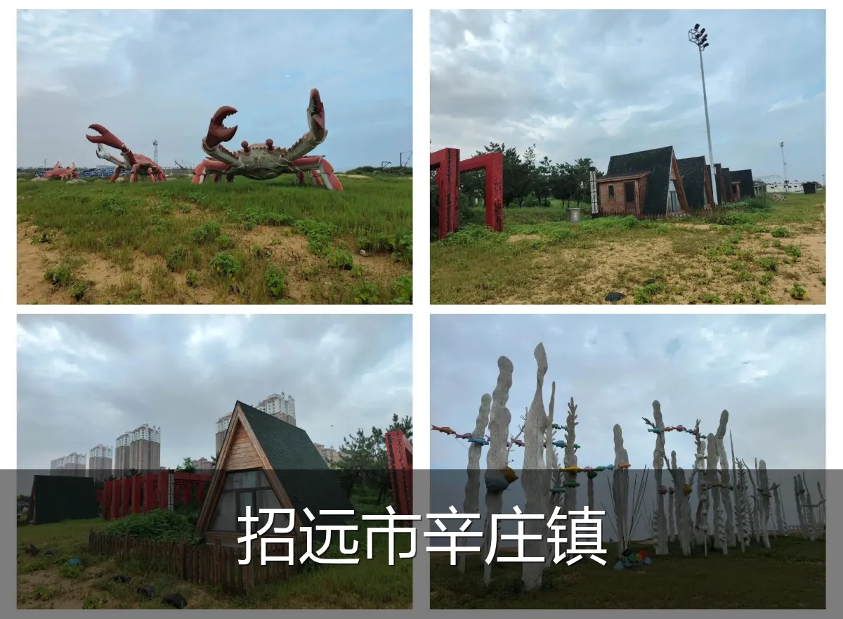 招远市辛庄镇