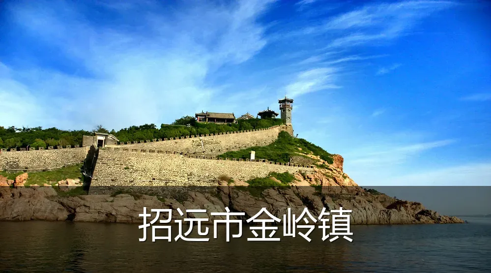 招远市金岭镇